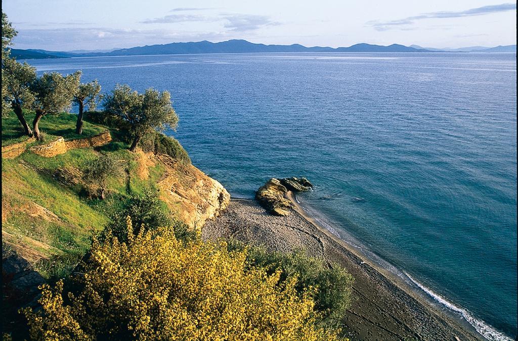 Katia Hotel Afissos Eksteriør billede
